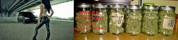 spice Ельня