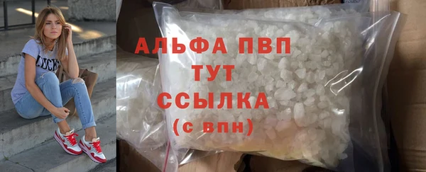 spice Ельня