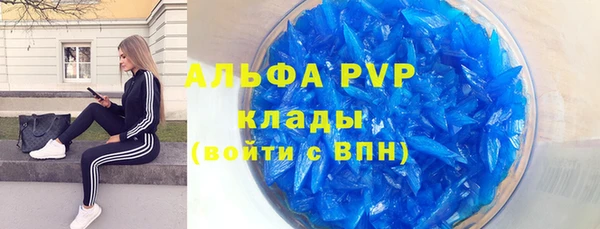 spice Ельня