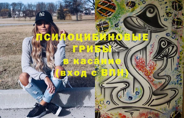 spice Ельня