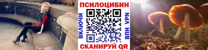 blacksprut как зайти  Пущино  Псилоцибиновые грибы GOLDEN TEACHER 
